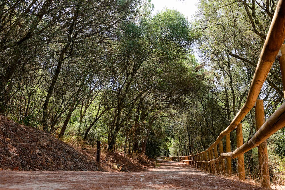 Parque Florestal de Monsanto